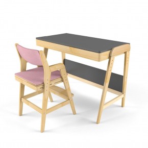 Комплект растущий стол и стул с чехлом 38 попугаев «Вуди» (Серый, Береза, Розовый) в Губахе - gubaha.mebel-74.com | фото
