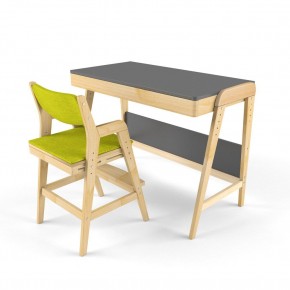 Комплект растущий стол и стул с чехлом 38 попугаев «Вуди» (Серый, Без покрытия, Грин) в Губахе - gubaha.mebel-74.com | фото