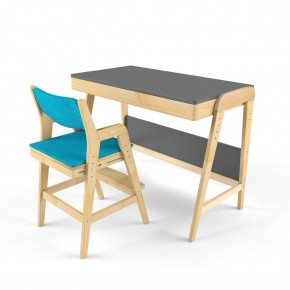 Комплект растущий стол и стул с чехлом 38 попугаев «Вуди» (Серый, Без покрытия, Лазурь) в Губахе - gubaha.mebel-74.com | фото