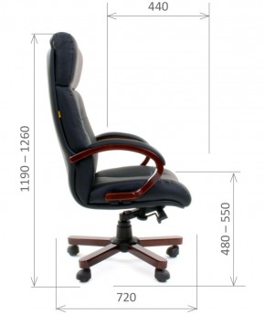 Кресло для руководителя CHAIRMAN  421 (Натуральная кожа) Черное в Губахе - gubaha.mebel-74.com | фото