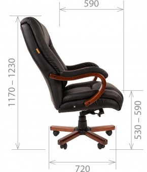 Кресло для руководителя CHAIRMAN  503 (Кожа) Черное в Губахе - gubaha.mebel-74.com | фото