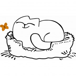 Кровать двухуровневая Кот № 900.1 ЛЕВАЯ (туя светлая/белый) в Губахе - gubaha.mebel-74.com | фото