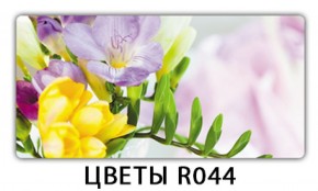 Обеденный раздвижной стол Бриз с фотопечатью Цветы R044 в Губахе - gubaha.mebel-74.com | фото