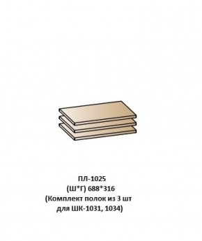 ПЛ-1025 (Комплект полок из 3 шт для ШК-1031, 1034) в Губахе - gubaha.mebel-74.com | фото