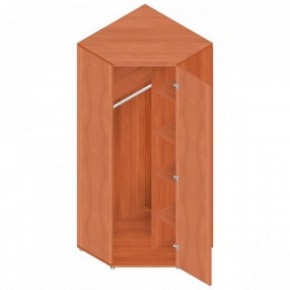 Шкаф для одежды "Референт" Р.Ш-10 в Губахе - gubaha.mebel-74.com | фото