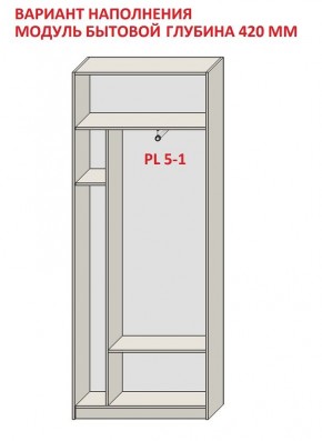 Шкаф распашной серия «ЗЕВС» (PL3/С1/PL2) в Губахе - gubaha.mebel-74.com | фото