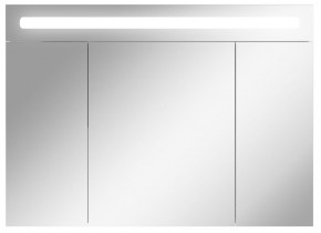 Шкаф-зеркало Аврора 100 с подсветкой LED Домино (DV8012HZ) в Губахе - gubaha.mebel-74.com | фото