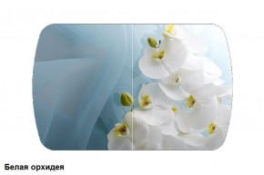 Стол Бостон 900*600 (опоры Брифинг) Стекло/фотопечать Белая Орхидея в Губахе - gubaha.mebel-74.com | фото