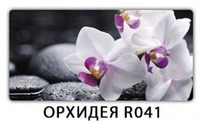 Стол обеденный Трилогия с фотопечатью Орхидея R041 в Губахе - gubaha.mebel-74.com | фото