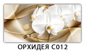 Стол раздвижной Трилогия с фотопечатью Орхидея C012 в Губахе - gubaha.mebel-74.com | фото